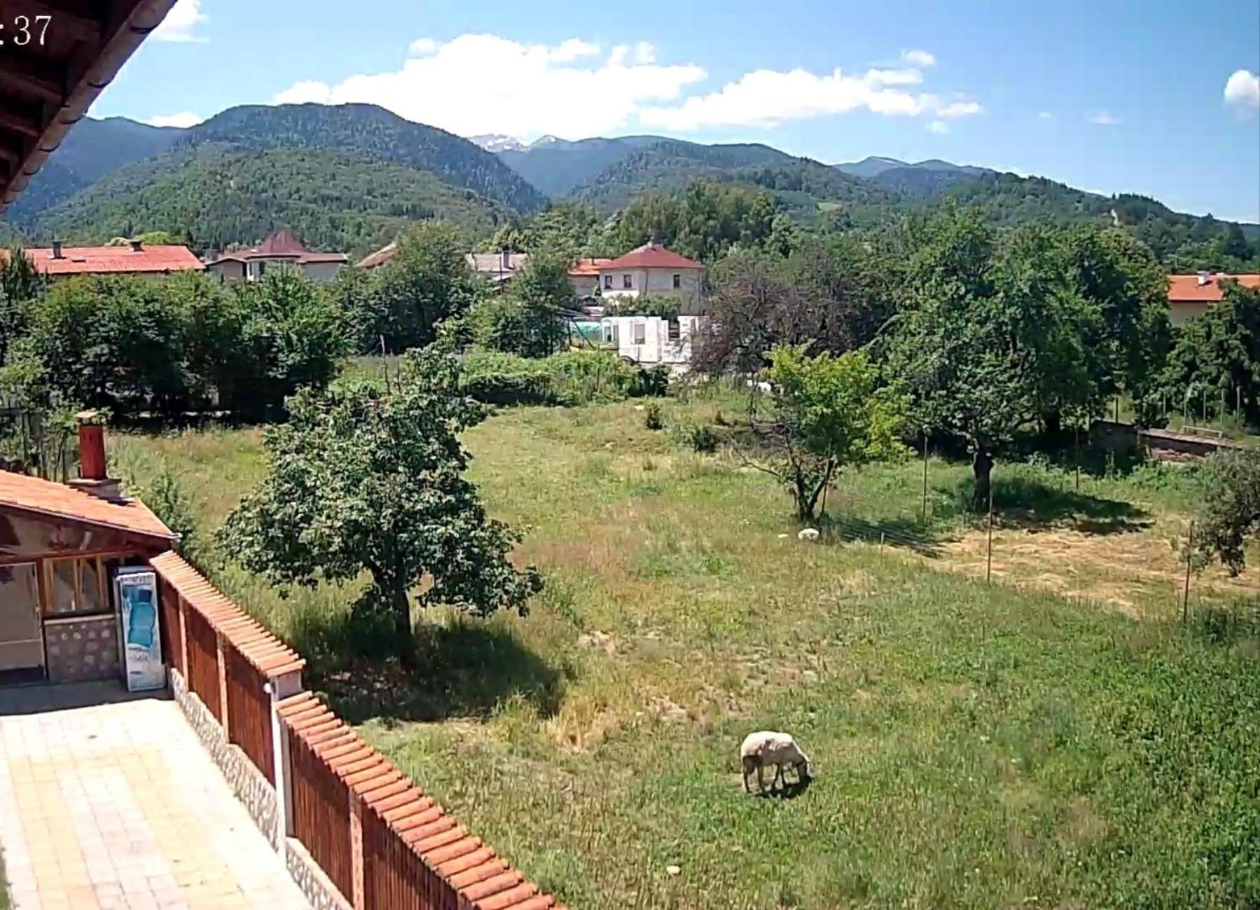 Къща За Гости Релакс-Рaдуил Villa Raduil Buitenkant foto